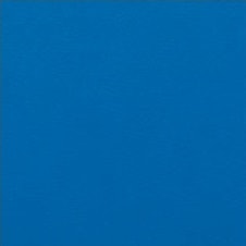 TORINO color: azul oscuro (VT0113)