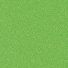 ROMA color: verde brillante (VP0907)